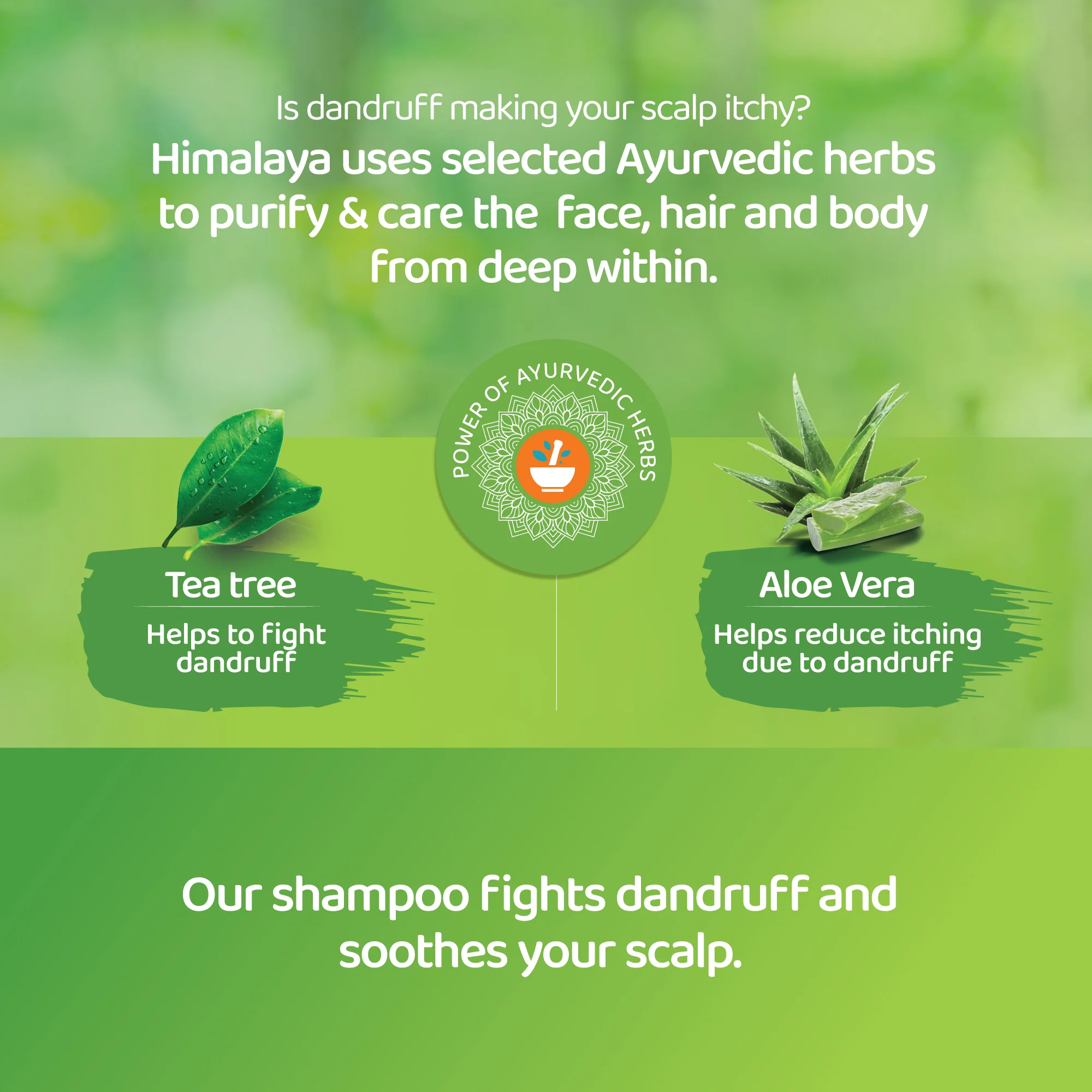 Himalaya Anti-Dandruff Shampoo - Soothing & Moisturizing - 400 ml - Image 3