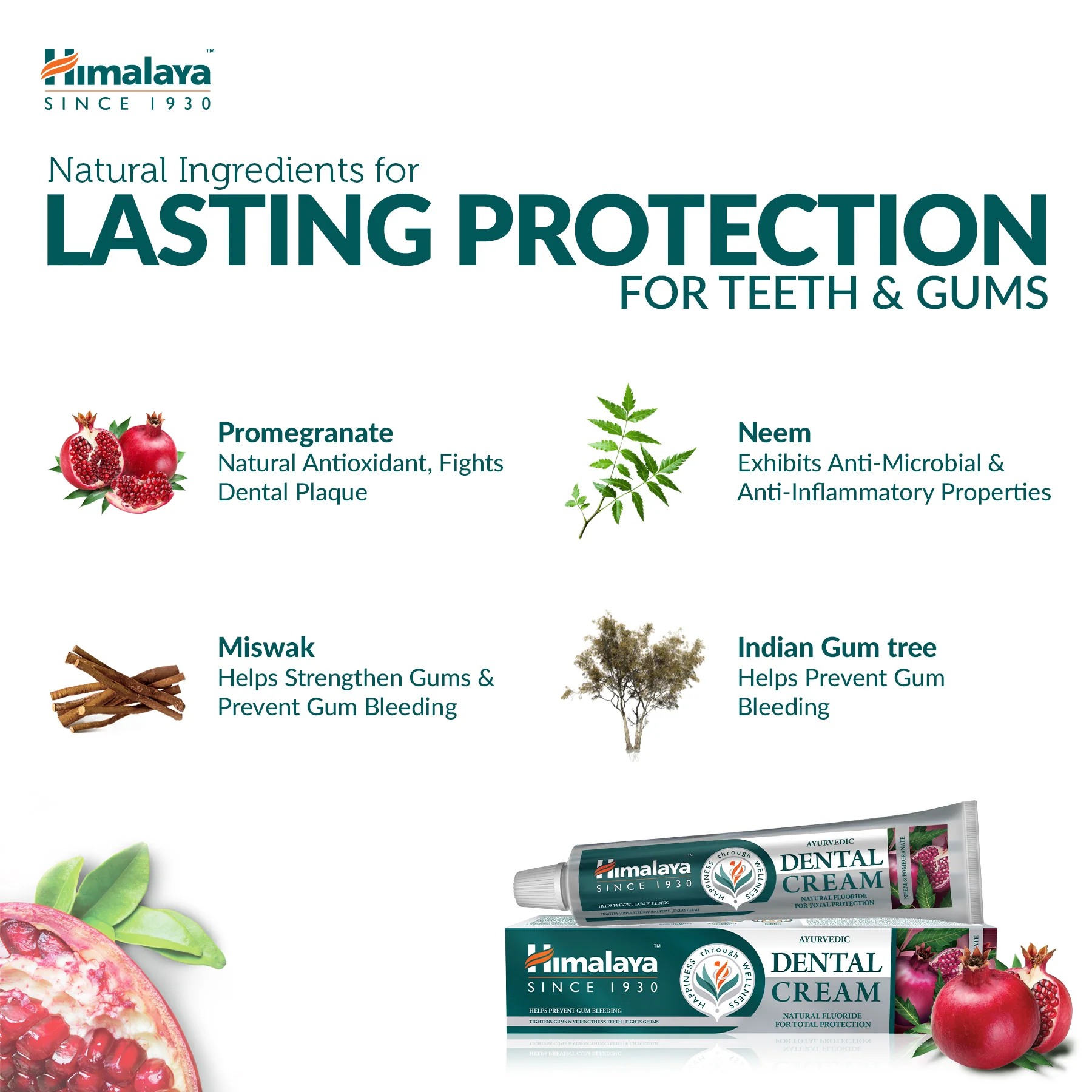 Himalaya Ayurvedic Dental Cream Herbal Toothpaste - Neem & Pomegranate - 100 g - Image 4