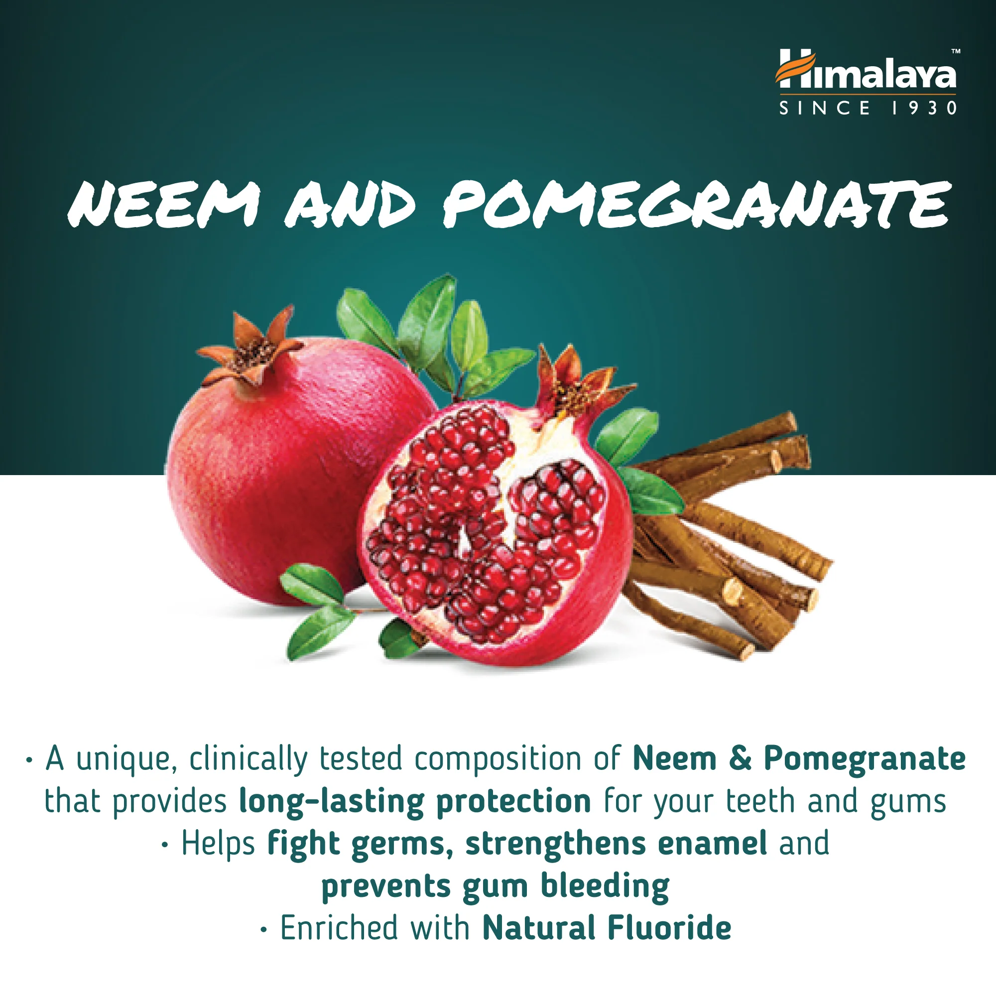 Himalaya Ayurvedic Dental Cream Herbal Toothpaste - Neem & Pomegranate - 100 g - Image 5