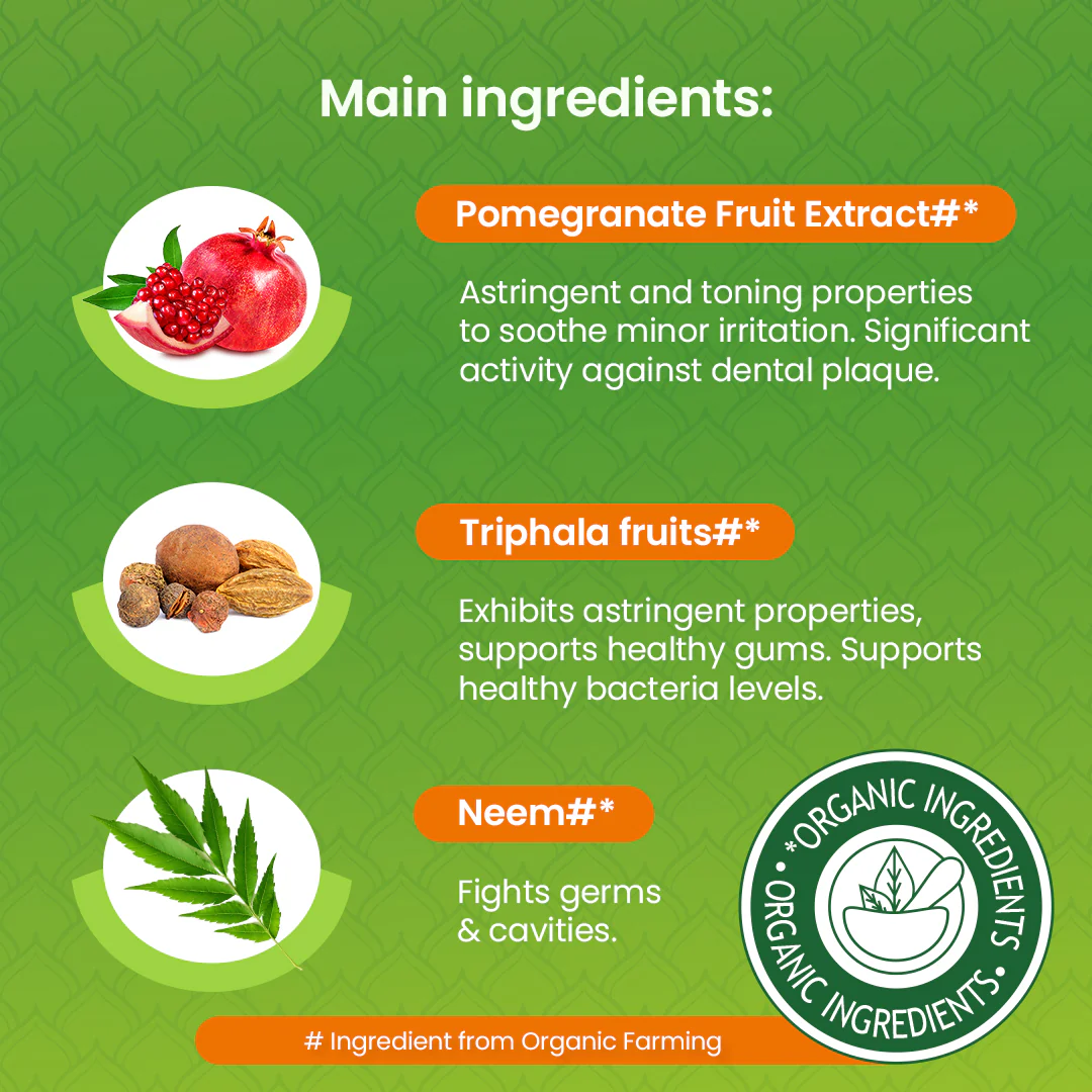 Himalaya Botanique Neem & Pomegranate Toothpaste - 150 g - Image 4
