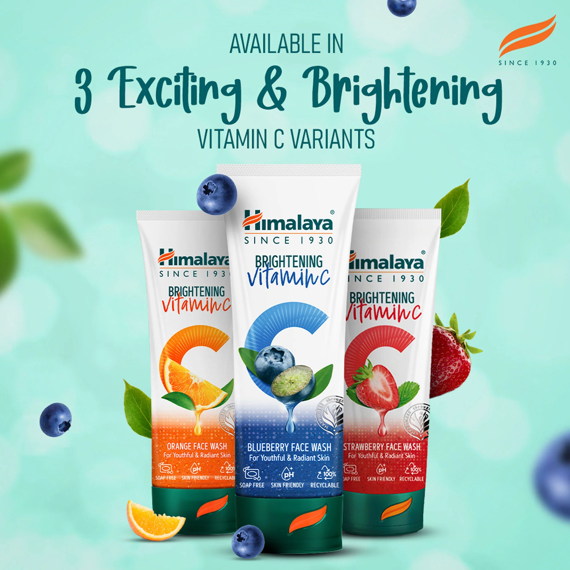 Himalaya Brightening Vitamin C Blueberry Face Wash - Image 6
