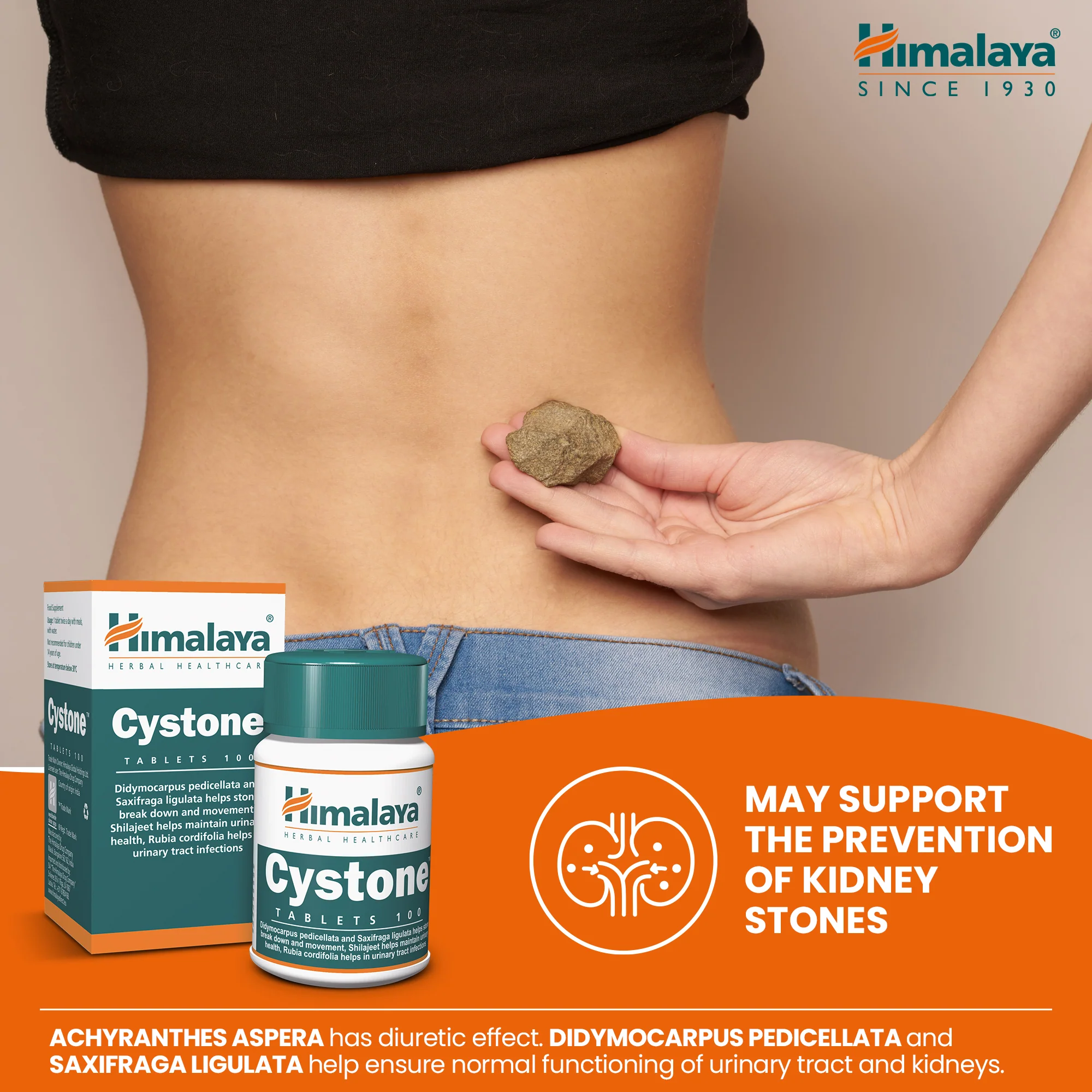 Himalaya Cystone - 100 Tablets - Image 2