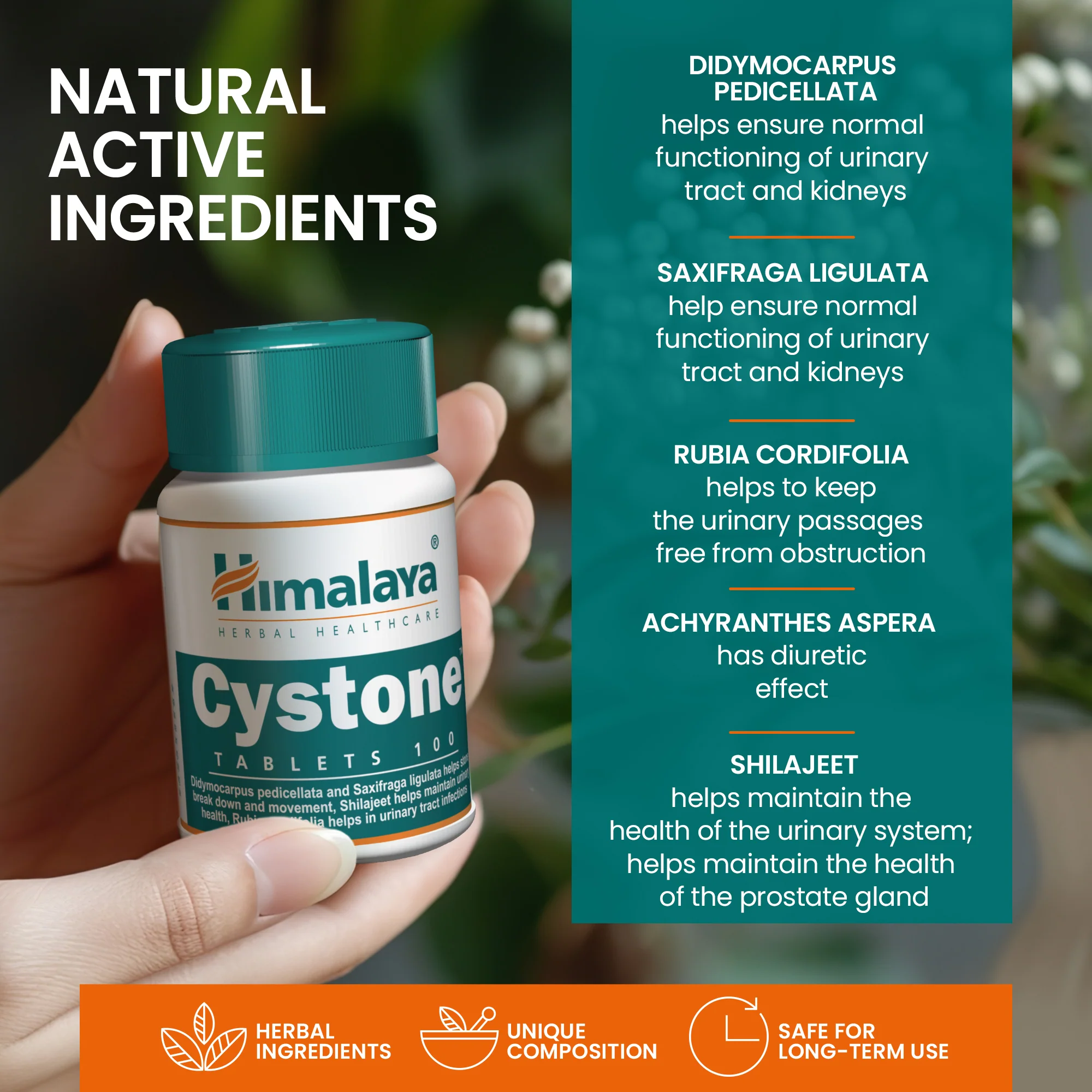 Himalaya Cystone - 100 Tablets - Image 6