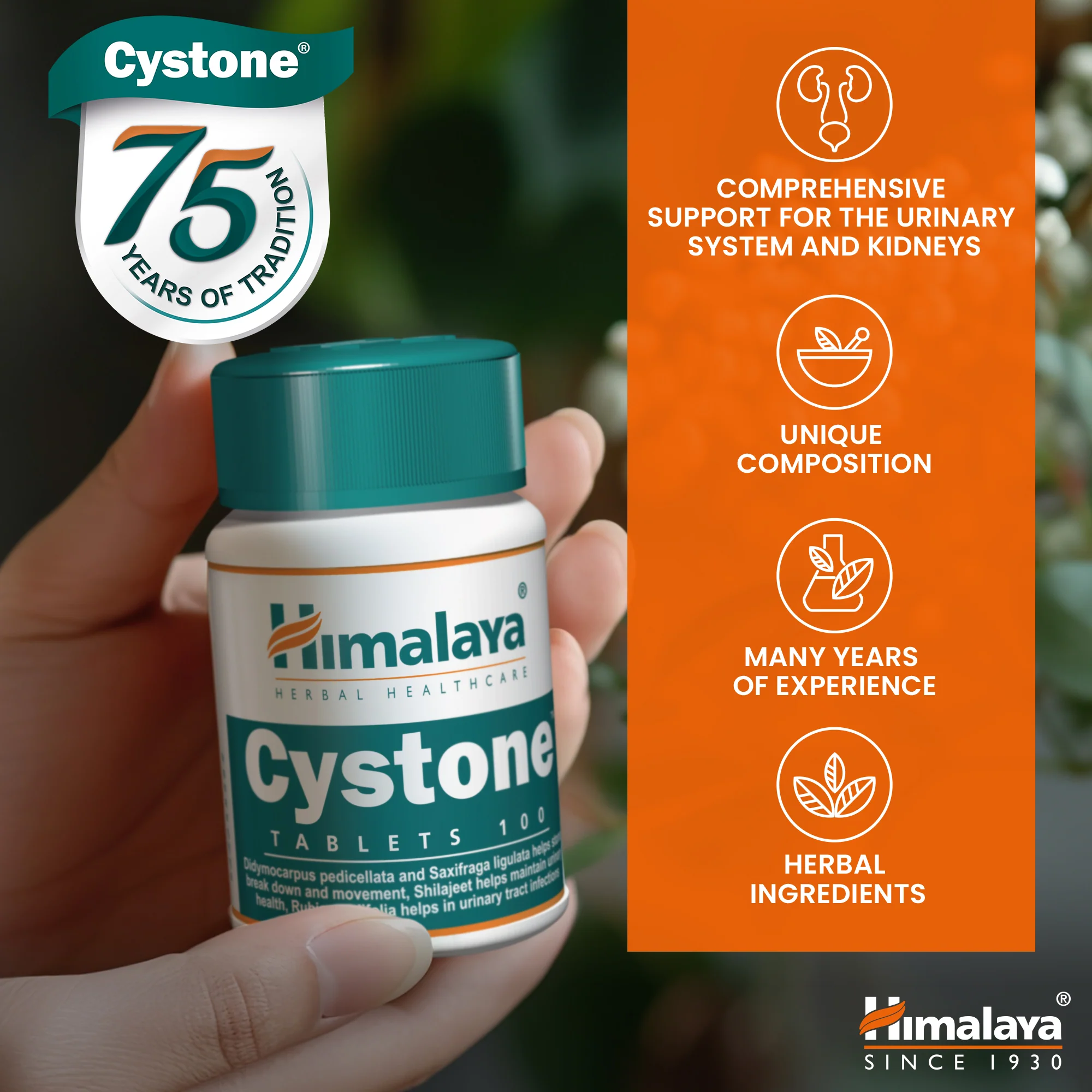 Himalaya Cystone - 100 Tablets - Image 7