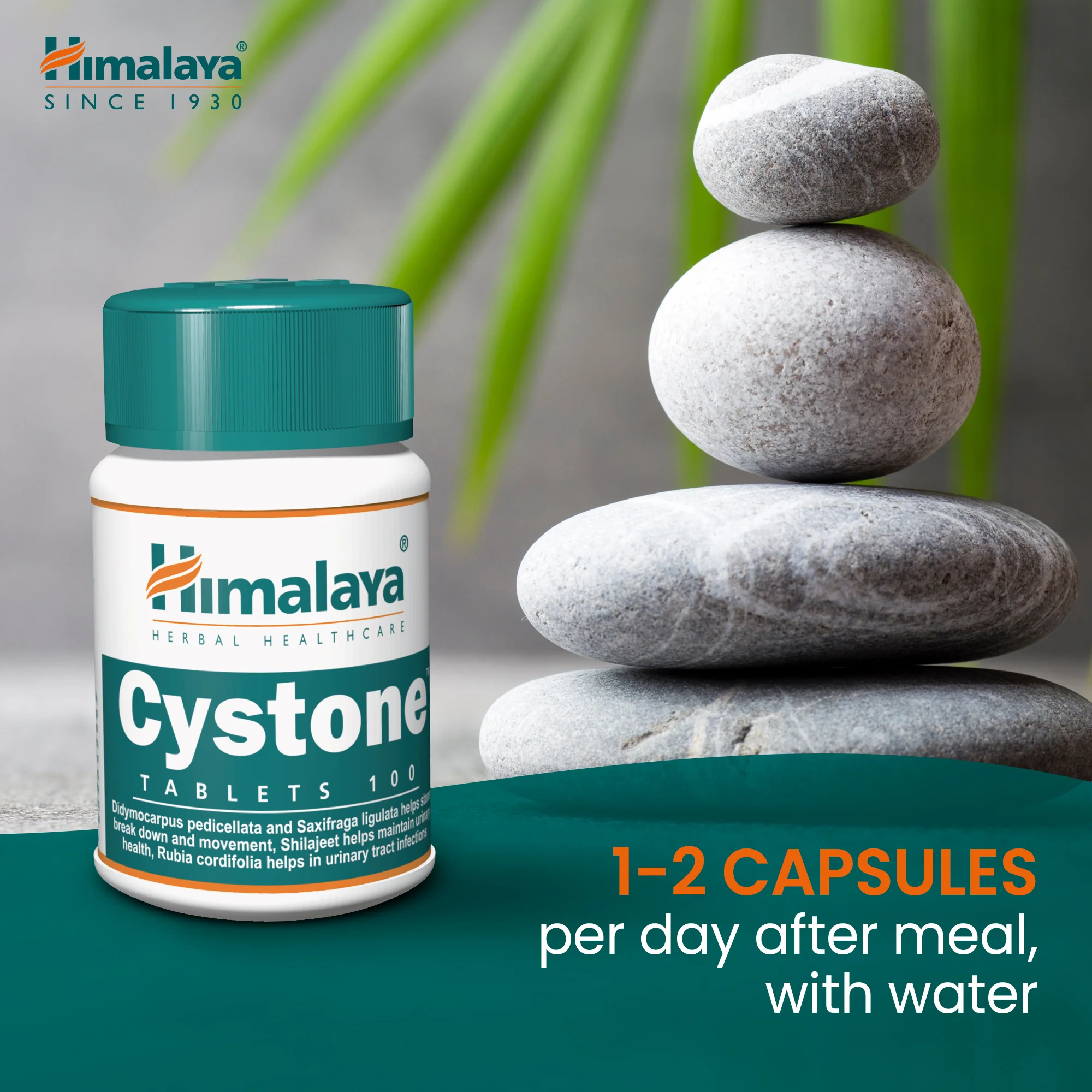 Himalaya Cystone - 100 Tablets - Image 8