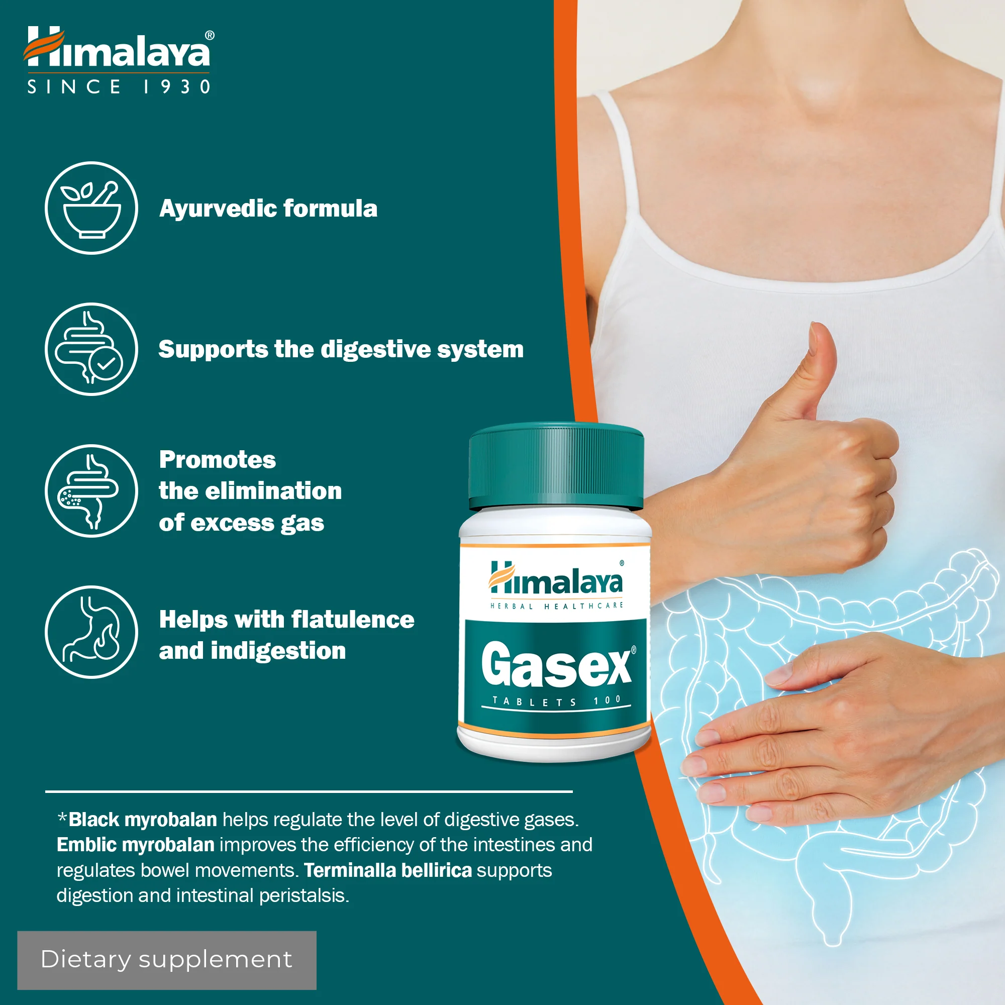 Himalaya Gasex - 100 Tablets - Image 2