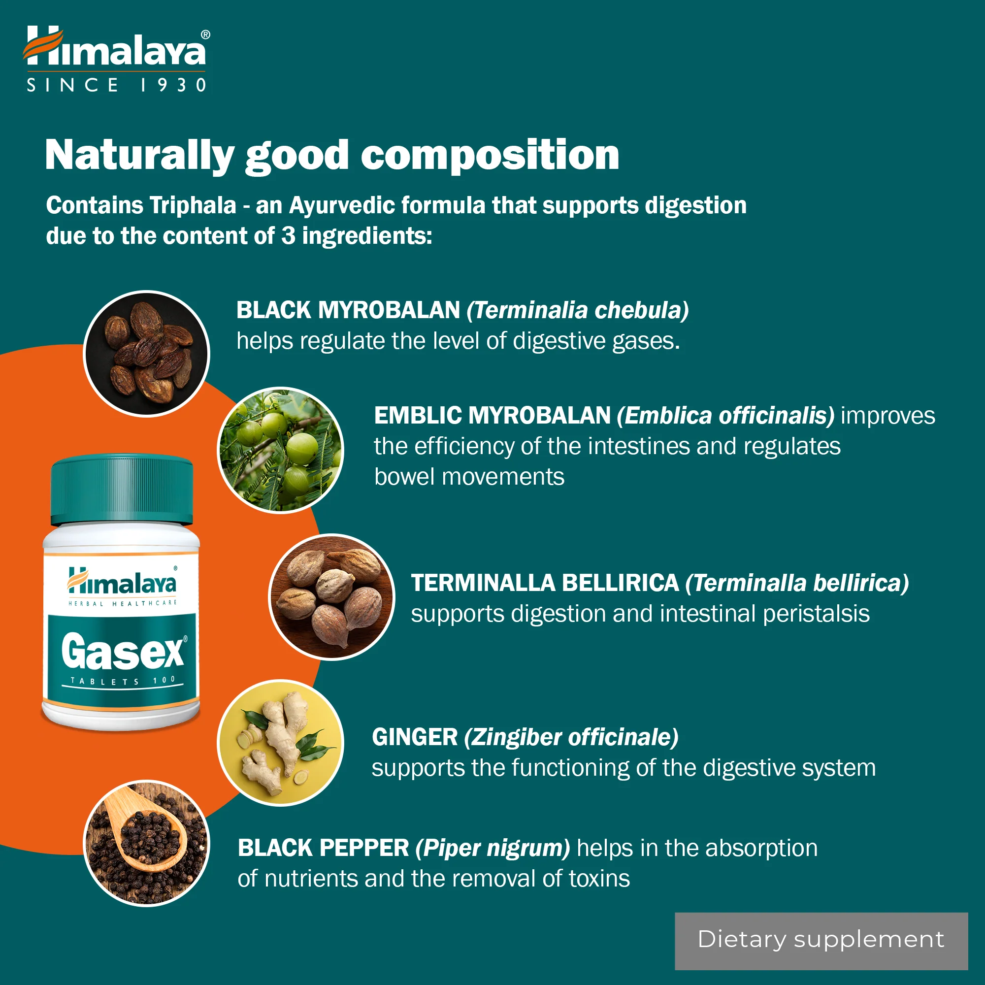 Himalaya Gasex - 100 Tablets - Image 5