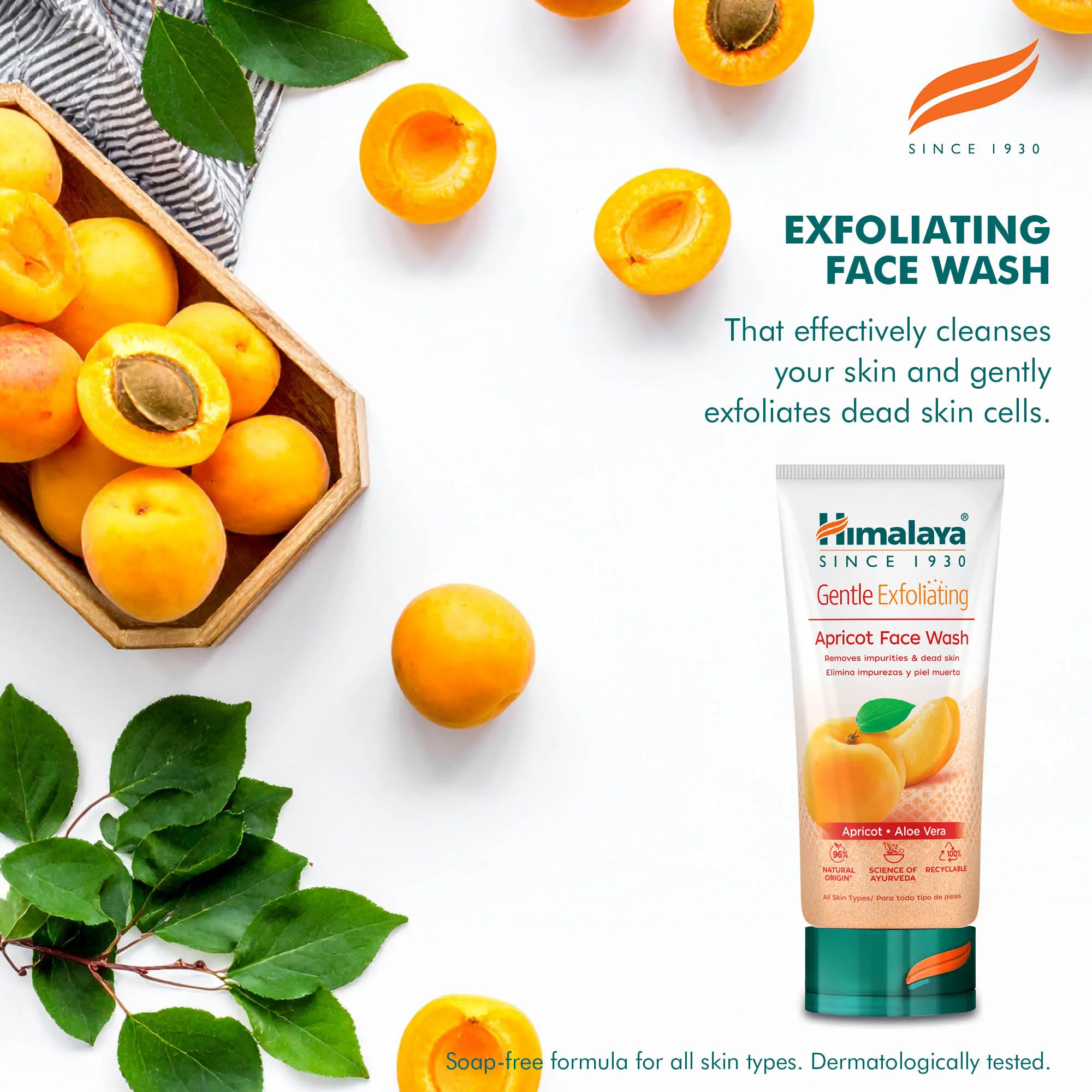 Himalaya Gentle Exfoliating Apricot Face Wash - 150ml - Image 3