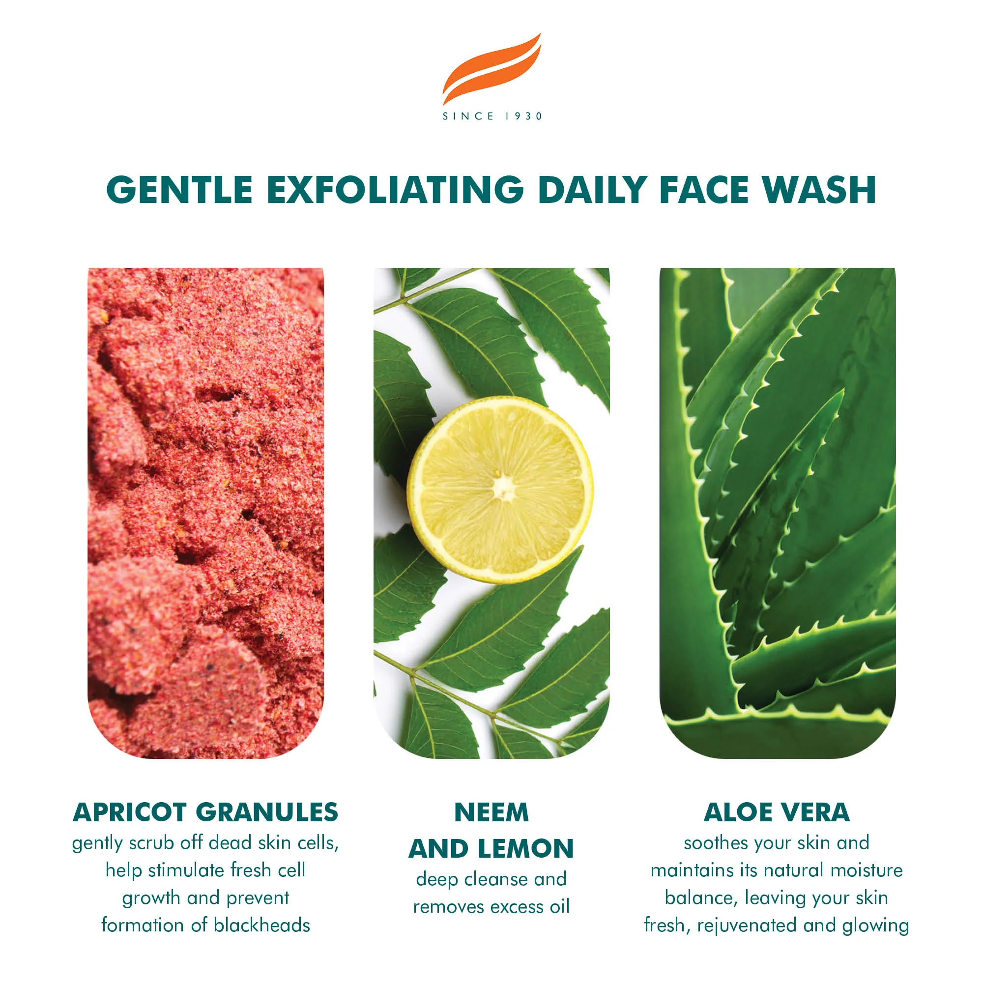 Himalaya Gentle Exfoliating Apricot Face Wash - 150ml - Image 4
