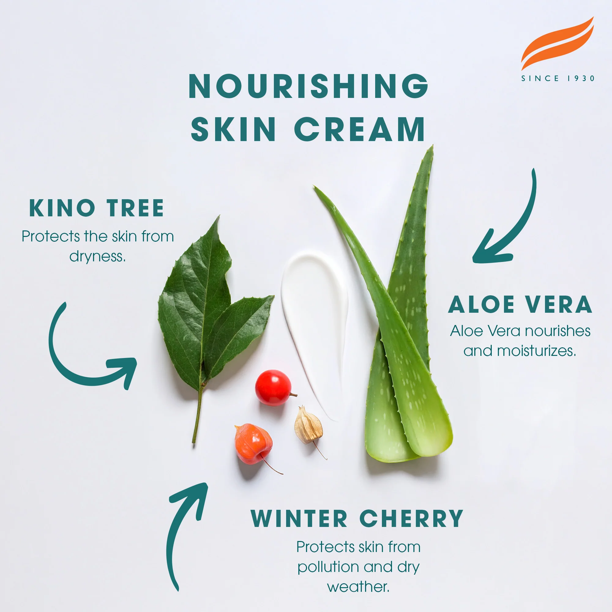 Himalaya Nourishing Skin Cream - Image 5