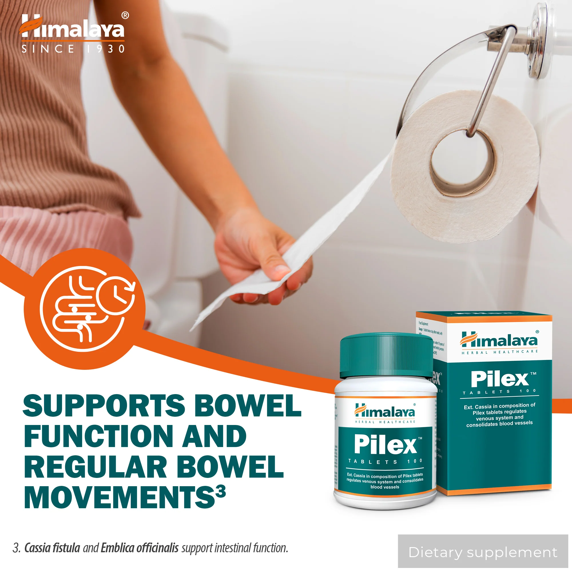Himalaya Pilex - 100 Tablets - Image 3