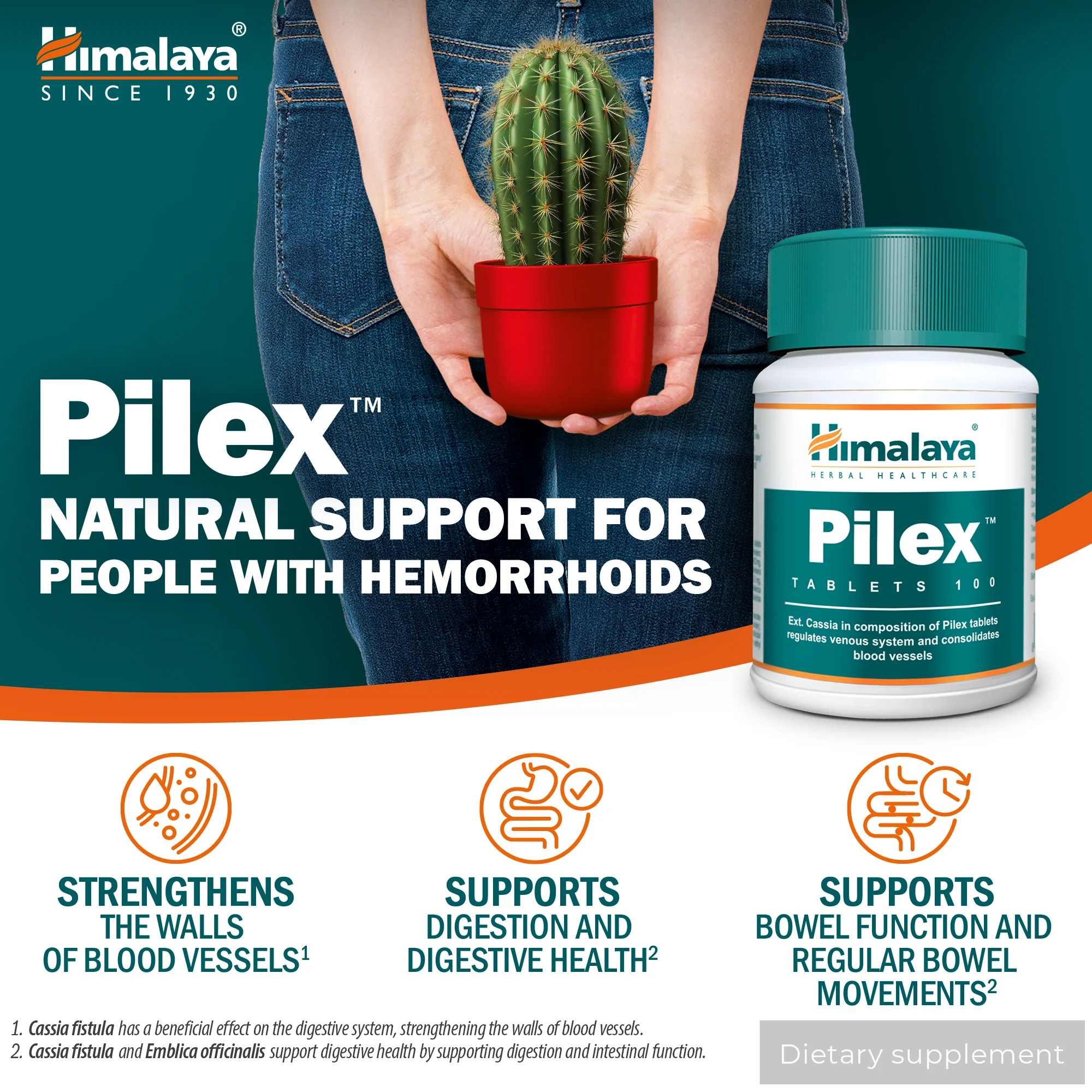 Himalaya Pilex - 100 Tablets - Image 5