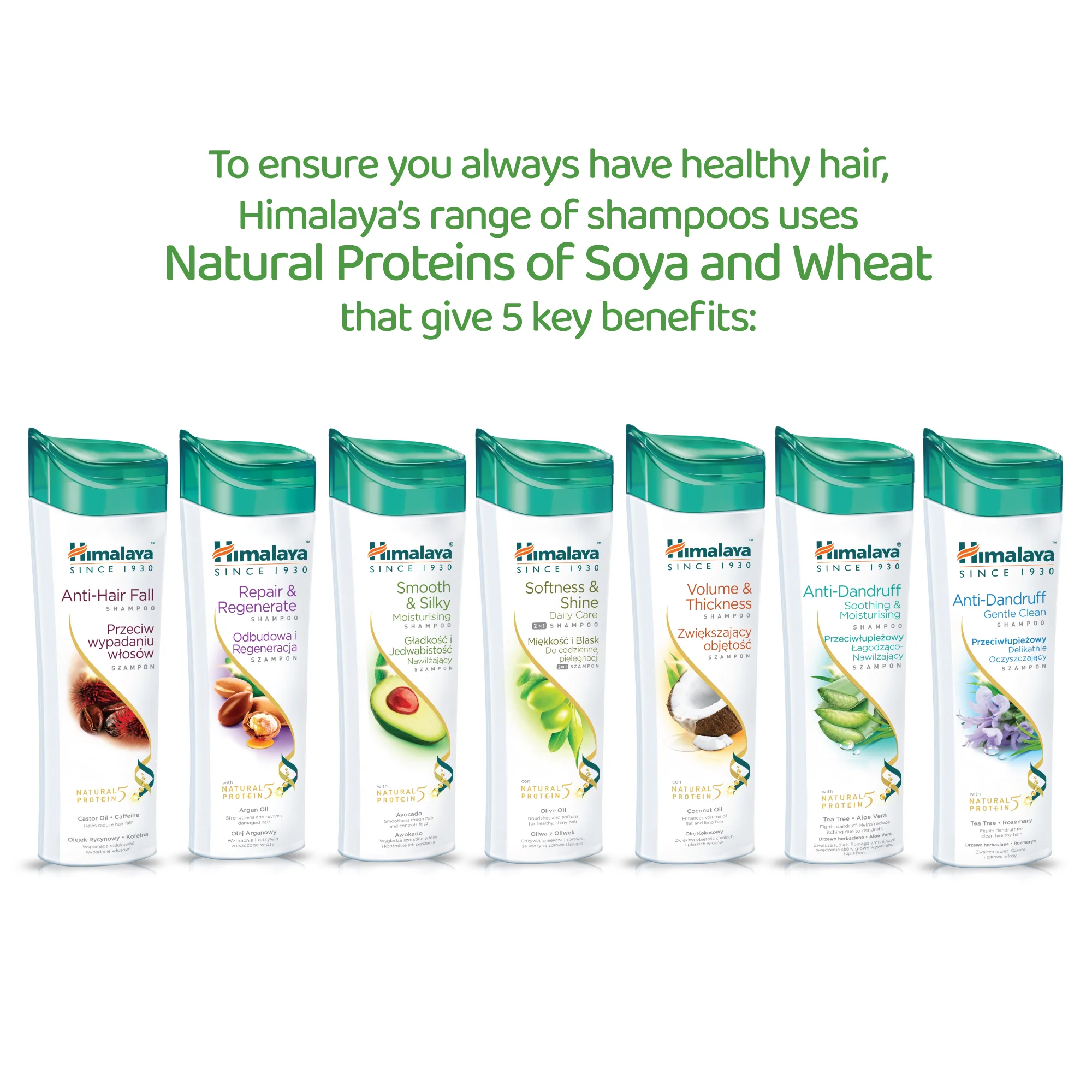 Himalaya Protein Shampoo - Softness & Shine - 400ml - Image 6