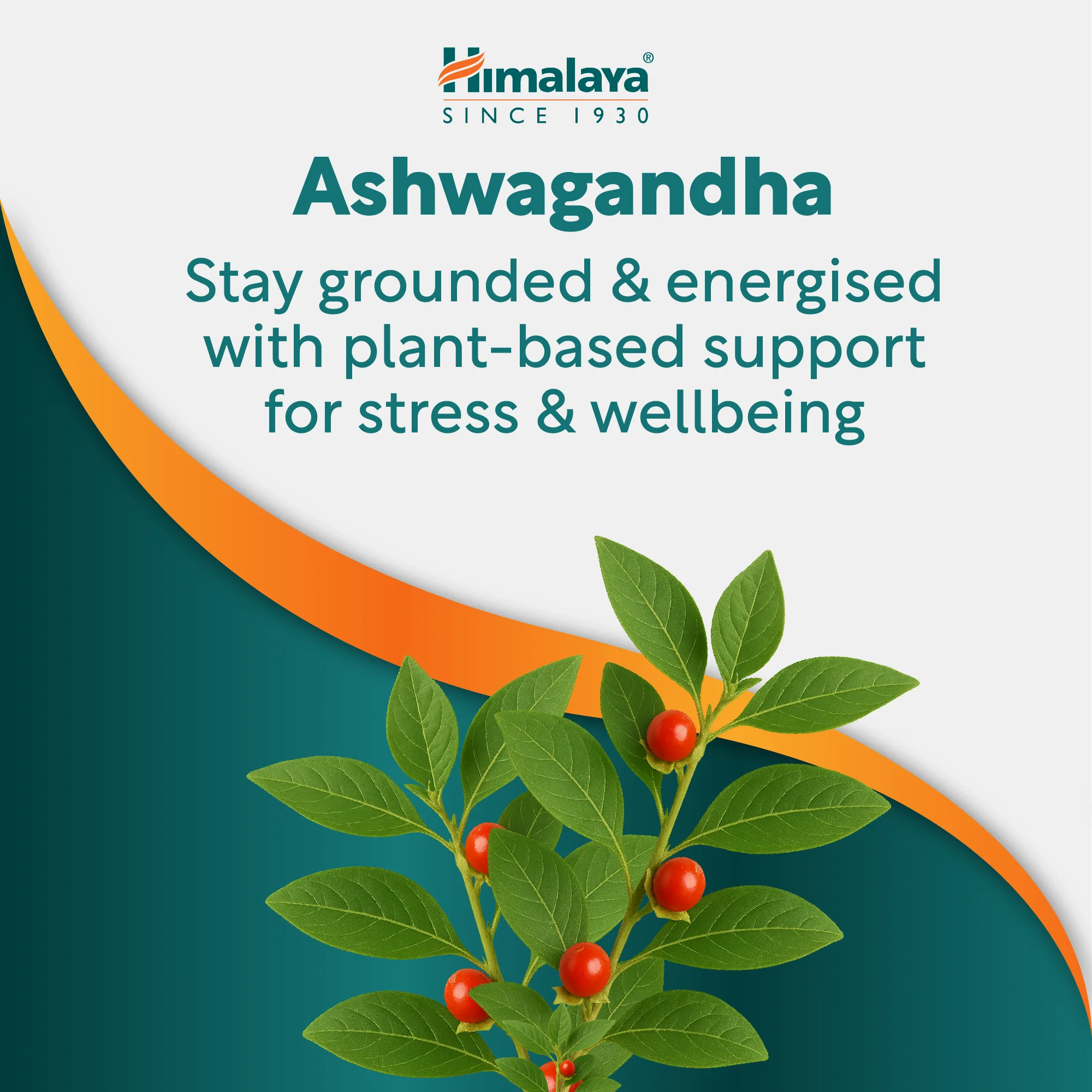 Himalaya Stress Wellness Ashvagandha - 60 Tablets - Image 4