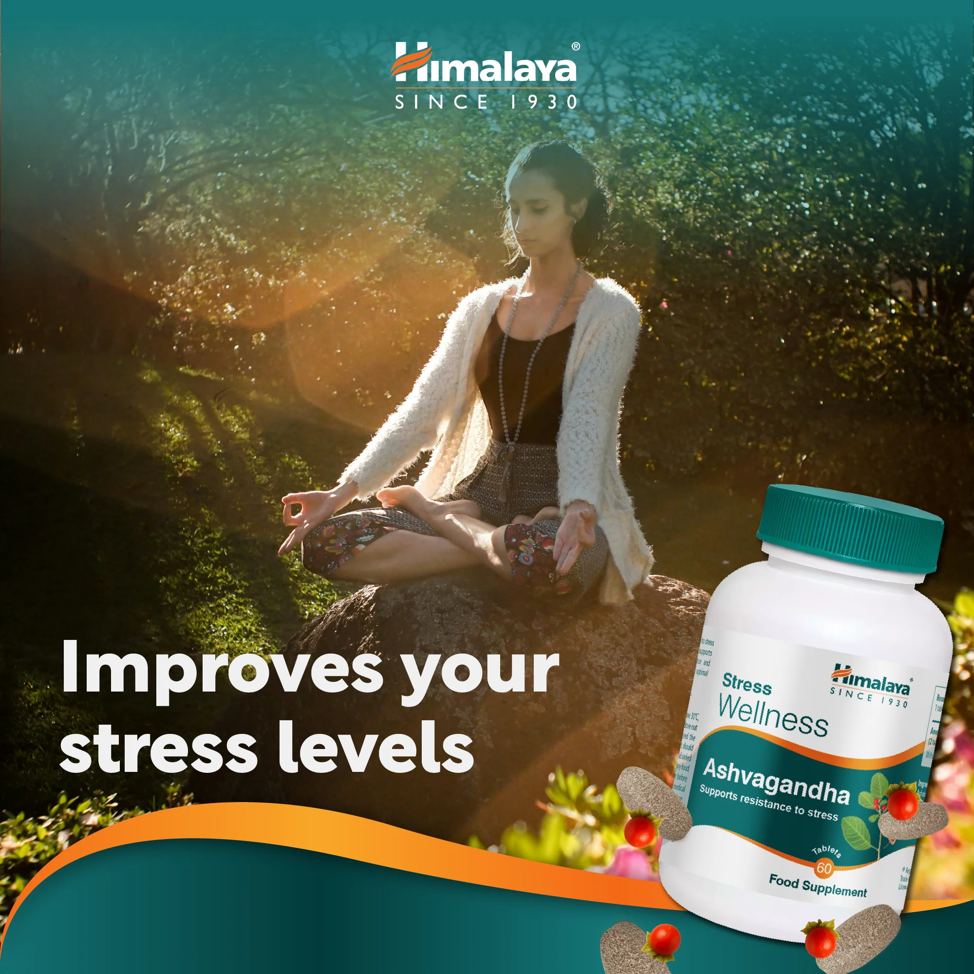 Himalaya Stress Wellness Ashvagandha - 60 Tablets - Image 5