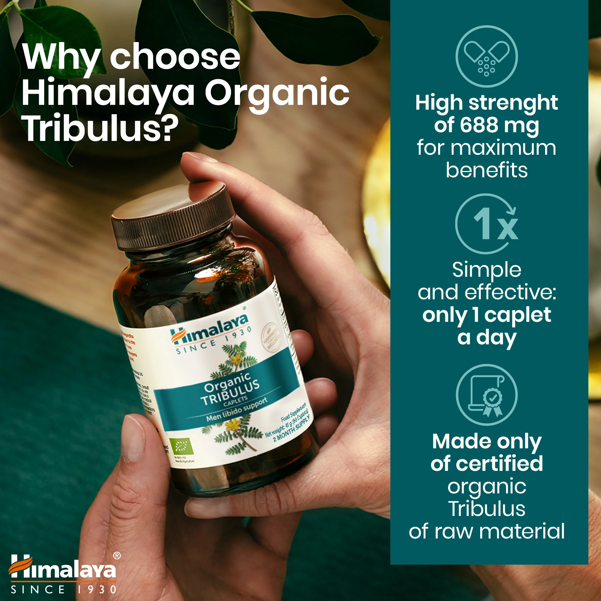 Himalaya Organic Tribulus (Gokshura) - Image 6